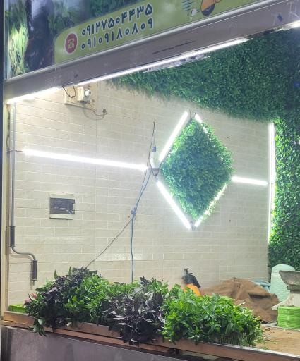 عکس سبزی فروشی سبزکده