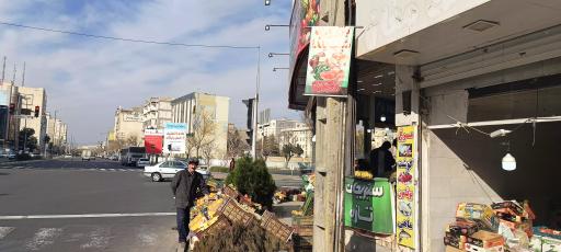 میوه تره‌بار هاوین 