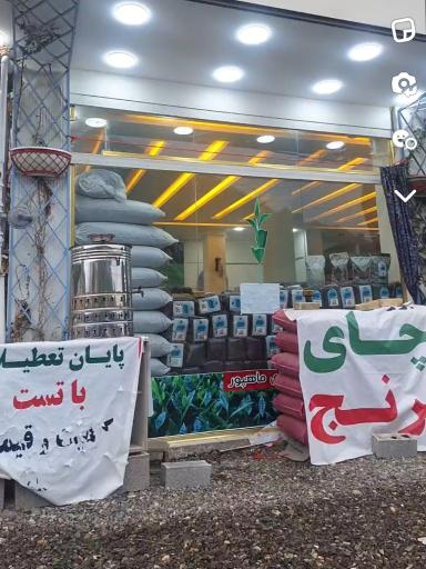 عکس عرضه مستقیم چای شمال (ماهپور)