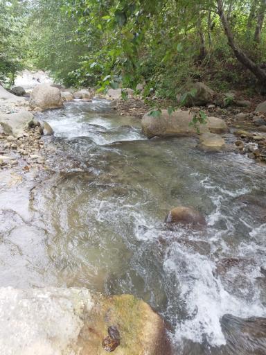 عکس رودخانه صفا رود