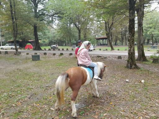 عکس پارک جنگلی سی سنگان