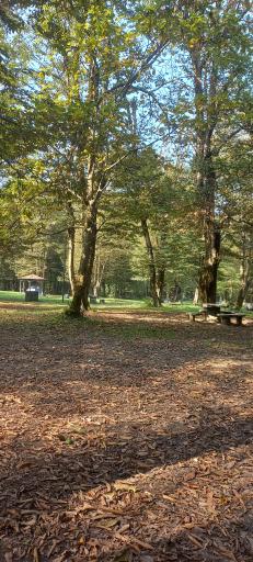 عکس پارک جنگلی سی سنگان