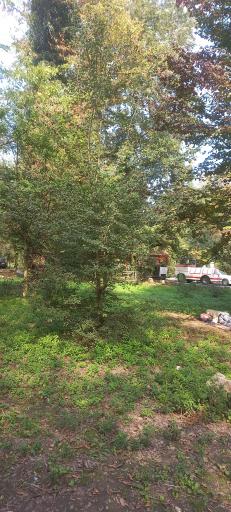 عکس پارک جنگلی سی سنگان