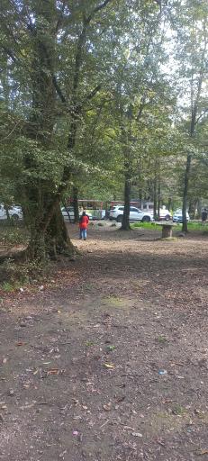 عکس پارک جنگلی سی سنگان