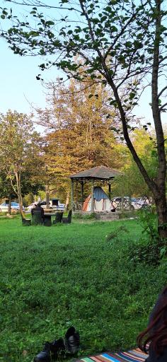 عکس پارک جنگلی سی سنگان