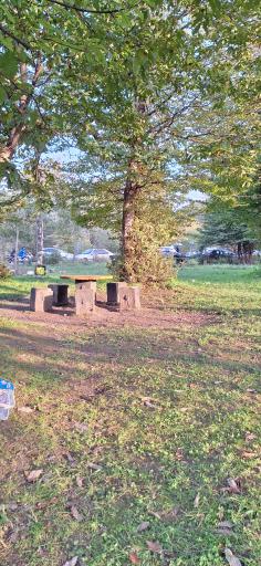 عکس پارک جنگلی سی سنگان