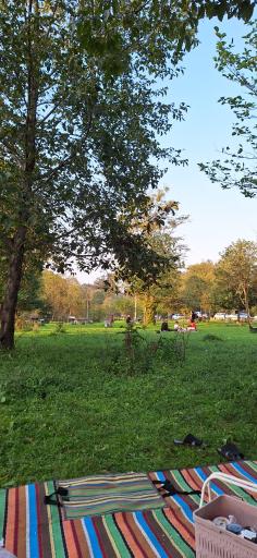 عکس پارک جنگلی سی سنگان