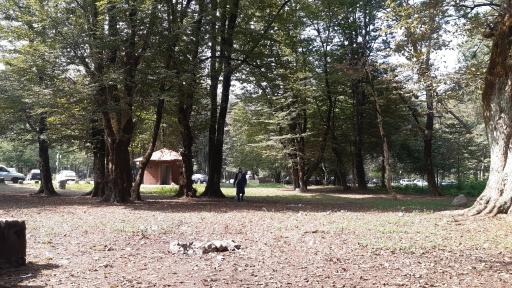 عکس پارک جنگلی سی سنگان