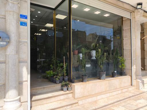 عکس گل و گیاه شهریار