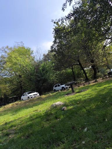 عکس پارک جنگلی سی سنگان