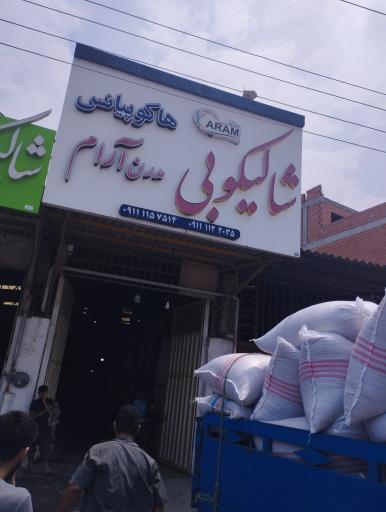 عکس شالیکوبی مدرن آرام (هاکوپیانس)