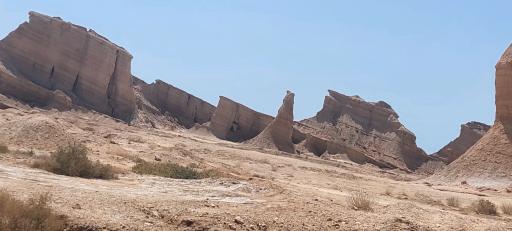 عکس کلوت شتر