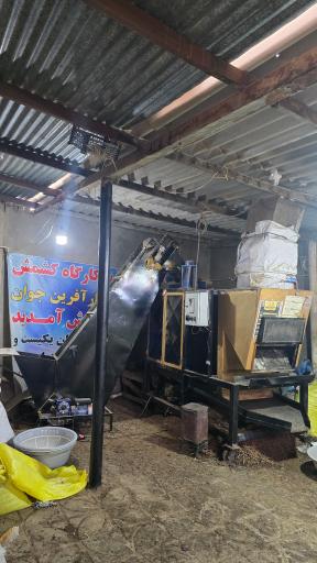 عکس کارگاه کشمش غلامی (تک تاک)
