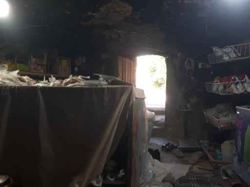 عکس سوپر میمند