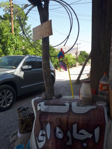 عکس سوپر میمند