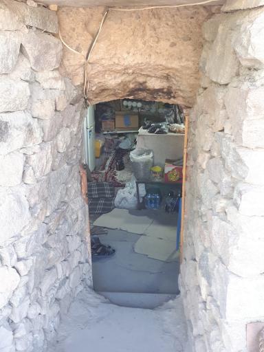 عکس سوپر میمند