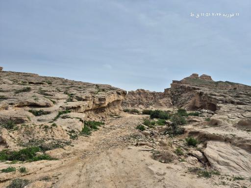 عکس کلوت شتر