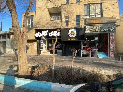 عکس آقای کالری