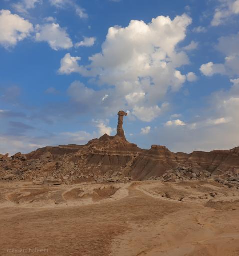 عکس کلوت شتر