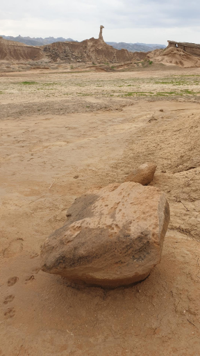 عکس کلوت شتر