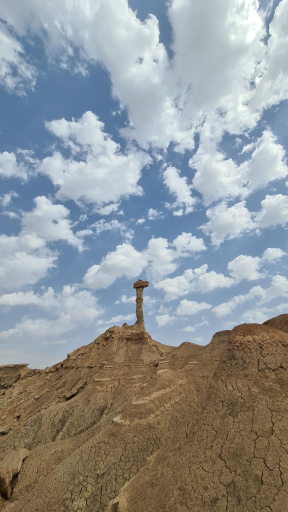 عکس کلوت شتر