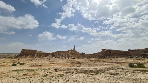 عکس کلوت شتر