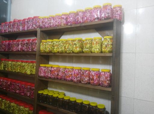 عکس خانه میوه رویانیان