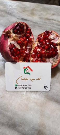 عکس خانه میوه رویانیان