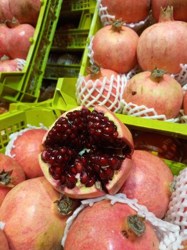 عکس خانه میوه رویانیان