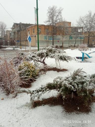 عکس میدان مادر