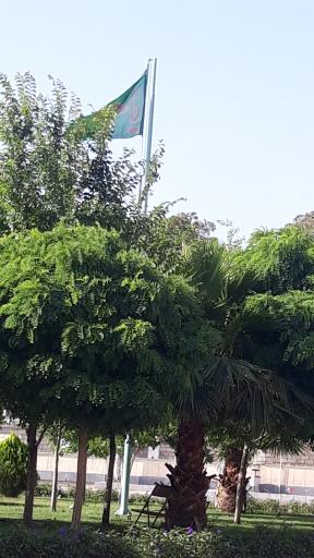 عکس پارکینگ جامعة الزهرا