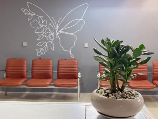 عکس دکتر انوشه بنان