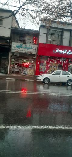 عکس دنیای کلید و ریموت حسن کلید ساز