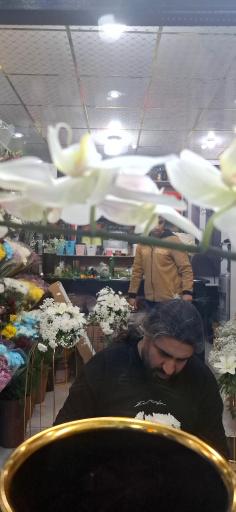 گل ارکید‌ه