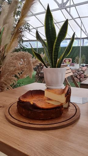 عکس سارله کافه