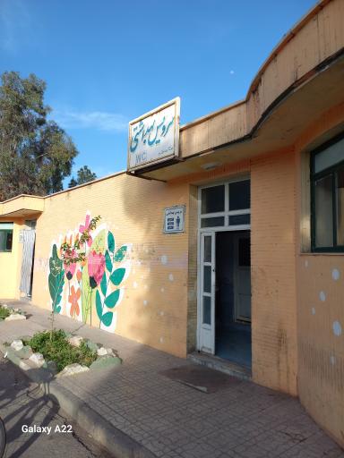 سرویس بهداشتی 