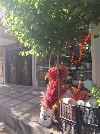 گل ارکید‌ه