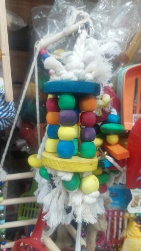 عکس لوازم پرندگان زینتی سام برد 2