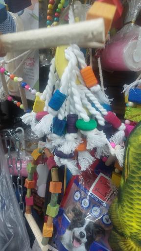 عکس لوازم پرندگان زینتی سام برد 2