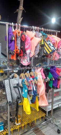 عکس لوازم پرندگان زینتی سام برد 2