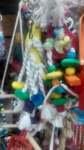 عکس لوازم پرندگان زینتی سام برد 2