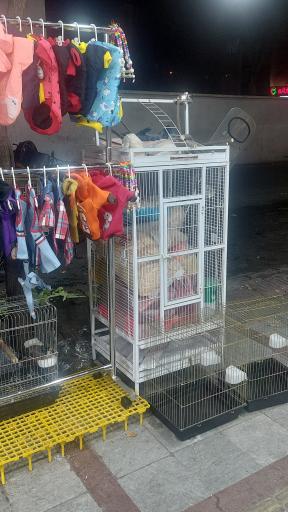 عکس لوازم پرندگان زینتی سام برد 2