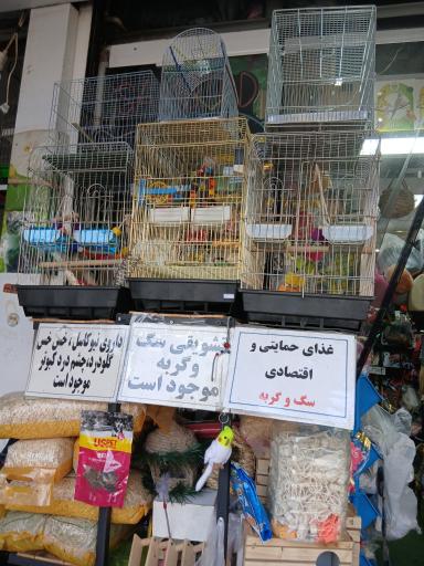 عکس لوازم پرندگان زینتی سام برد 2