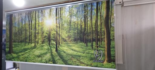 عکس زبرا مدرن