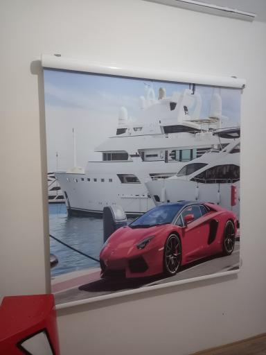 عکس زبرا مدرن