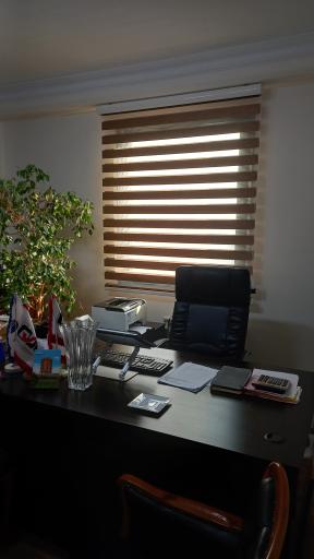 عکس زبرا مدرن