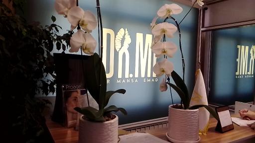 عکس زبرا مدرن