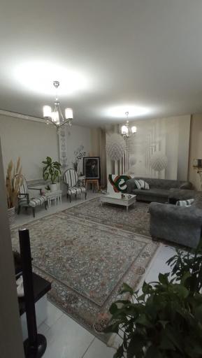 عکس زبرا مدرن