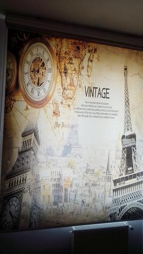 عکس زبرا مدرن