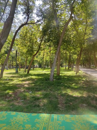 عکس پارک کوثر